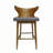 Barstool with Solid Wood Frame