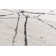 Heider Abstract Shag Area Rug