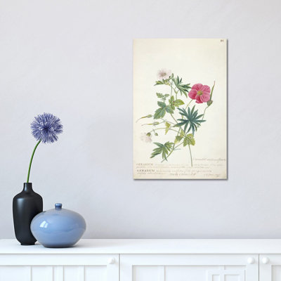 Geranium. Two Intertwined Stems Of Different Species, 1767 by Georg Dionysius Ehret - Wrapped Canvas Print