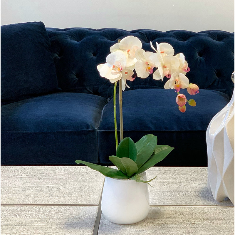 Phalaenopsis Orchid Floral Arrangement in Pot, Cream/Pink