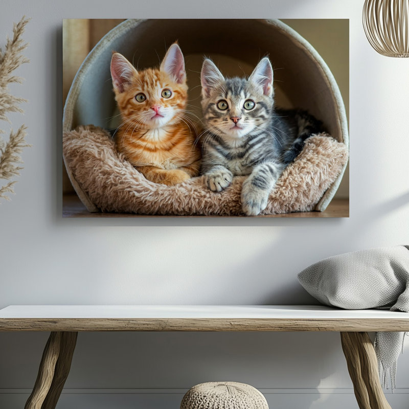 Toile Deux adorables chatons assis côte à côte dans un lit de chat circulaire moelleux entouré d'une douce texture floue parfaite pour l'art mural sur toile