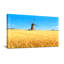 Scénario et paysages urbains, champ de blé doré, moulin à vent, paysage sur toile-1097226857