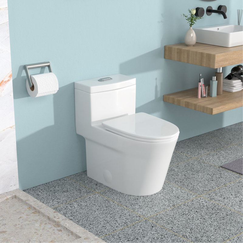 One Piece Ceramic Toilet 12 - Inch Rough In, Dual Flush 1.24/1.43 , Soft Close Seat, 800G Map Rating, Non Porous Body For With Flush, Surface