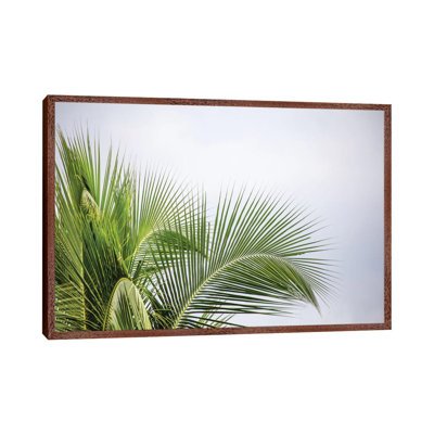 Palm Tree 1 Piece Wall Art on Canvas