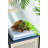 Delsie - Organic Teak Bowl