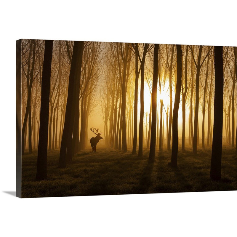 "Il était une fois" par Nafets Norim, reproduction de photo sur toile, H 24 po x l 36 po x P 1,25 po