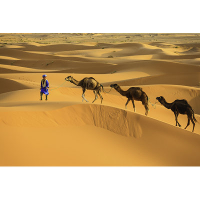 Young Tuareg With Camel by Hadynyah - Wrapped Canvas Print