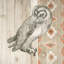 Impression sur toile tendue, "Natural histoire Lodge Southwest I"-19159648-74292693-74292698