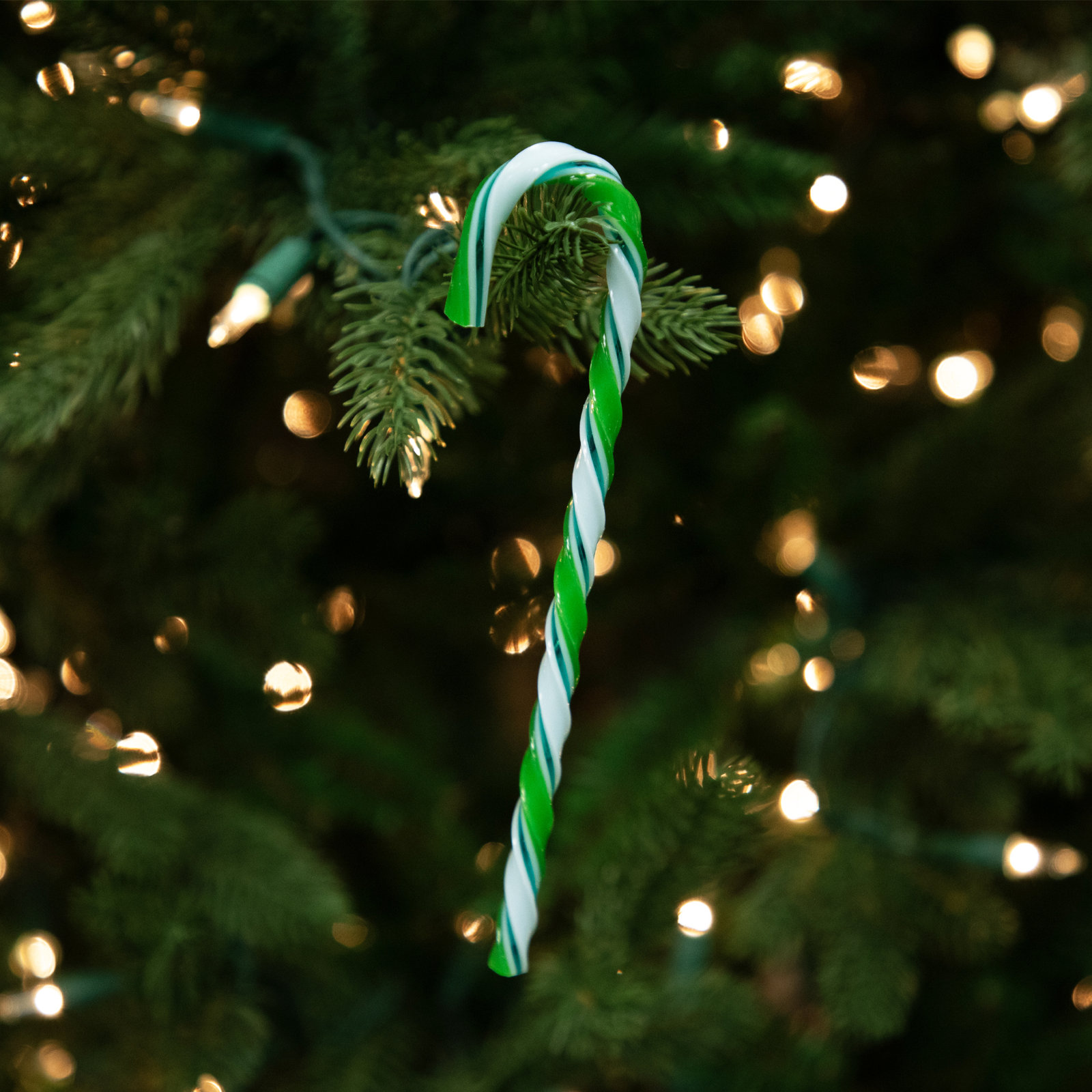 Northlight Seasonal