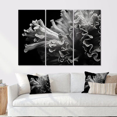 «Black and White Anemoner Color Photo III - Coastal Coral Under Water», ensemble d'art sur toile