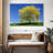 Harnek Spring Weeping Willow-107850698