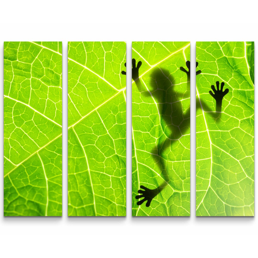 4-tlg. Leinwandbilder-Set Froschschatten auf einem Blatt