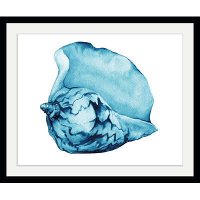 Shell - Single Picture Frame Print