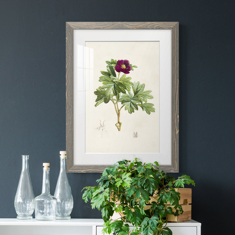 «Pretty Botanicals III», cadre photo, Encadré gris, H 20 po x l 17 po x P 1 po