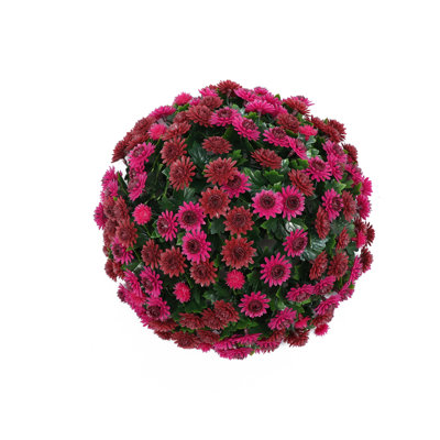 13-in Chrysanthemum Ball