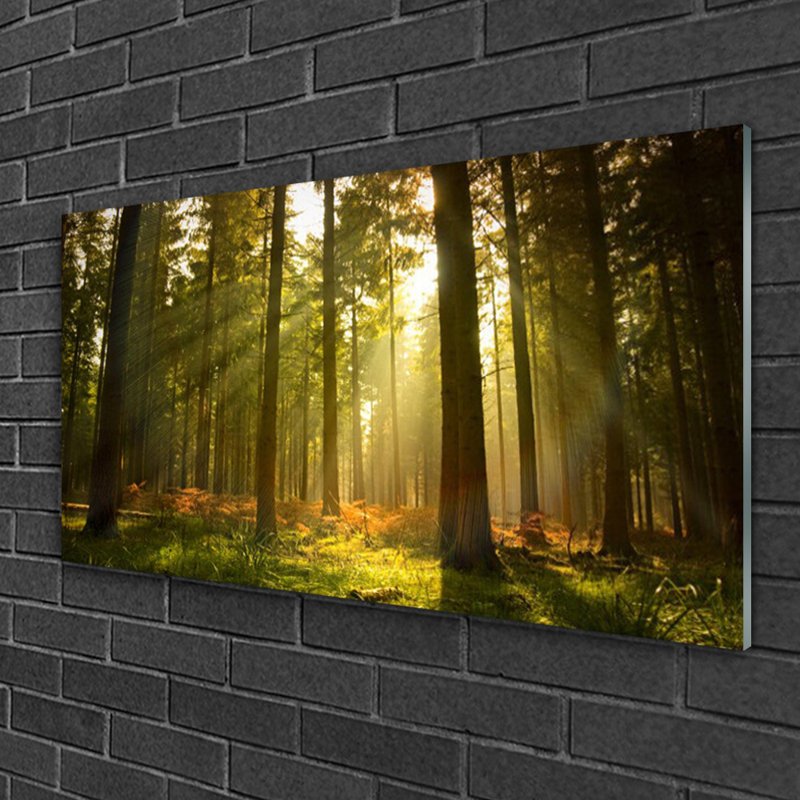 Nature Forest - No Frame Print on Glass