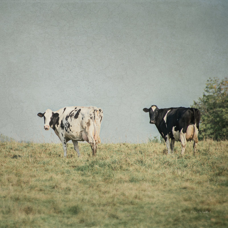 Neutral Country III Crop by Elizabeth Urquhart - Wrapped Canvas Print, 51cm H x 51cm W