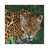 Wrapped Canvas selected