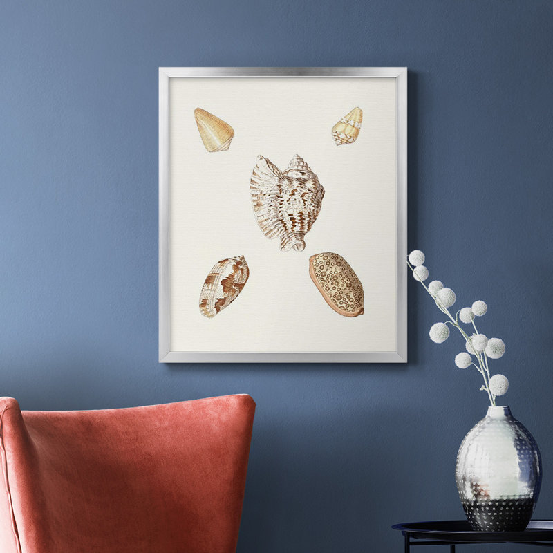 Toile encadrée Pastel Knorr Shells VI - prête à accrocher, Argent, H 24 po x l 20 po