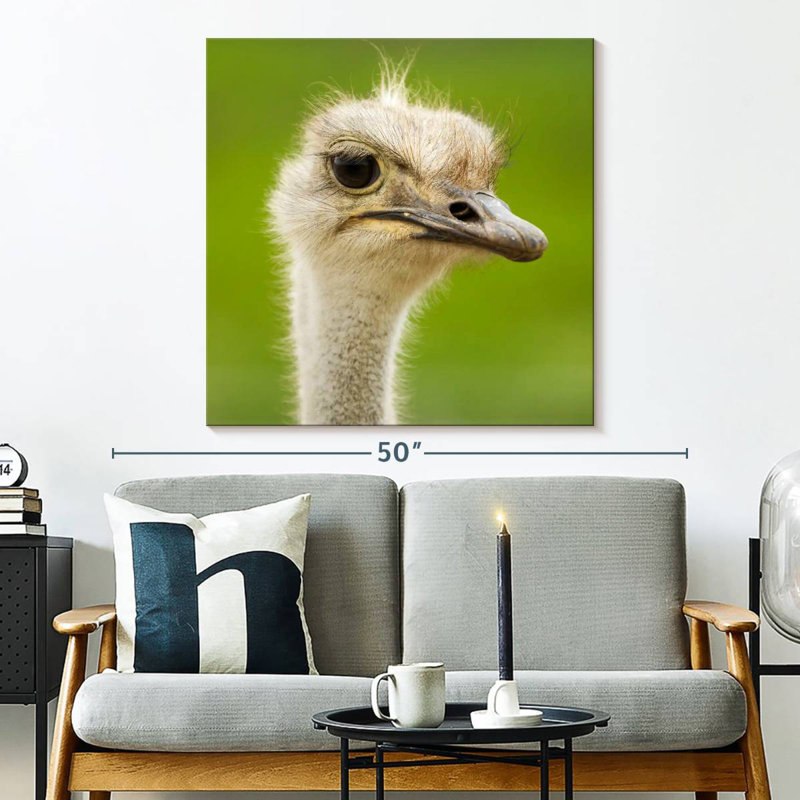 Crowle Serious Ostrich, 33" H x 33" W