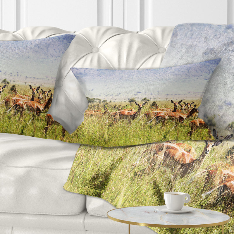 Magnifique antilope dans l'herbe - Coussin décoratif à imprimé paysage