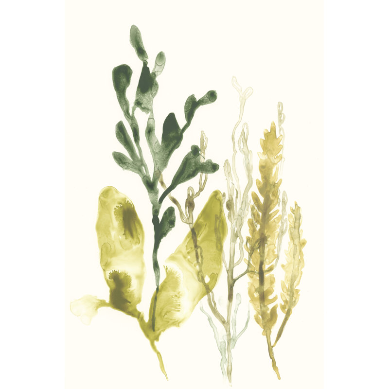 Kelp Collection III by June Erica Vess - Wrapped Canvas Painting Print, Wrapped Canvas, 30cm H x 20cm W