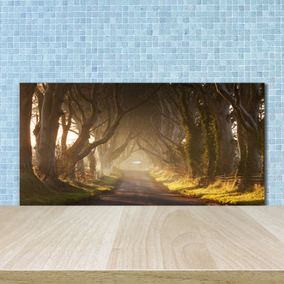 Galliher 50cm W x 100cm L Glass Peel and Stick Panel