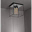 Caged Ceiling 4.0-80760959