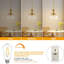 Lampe suspendue 10 "en verre bullé