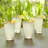 Hammered High Ball Glass-Clear w/Gold Rim