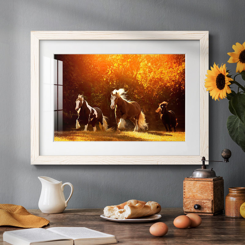 Horse Motion V - Peinture à cadre unique, Blanc, H 22 po x l 32 po x P 1,5 po