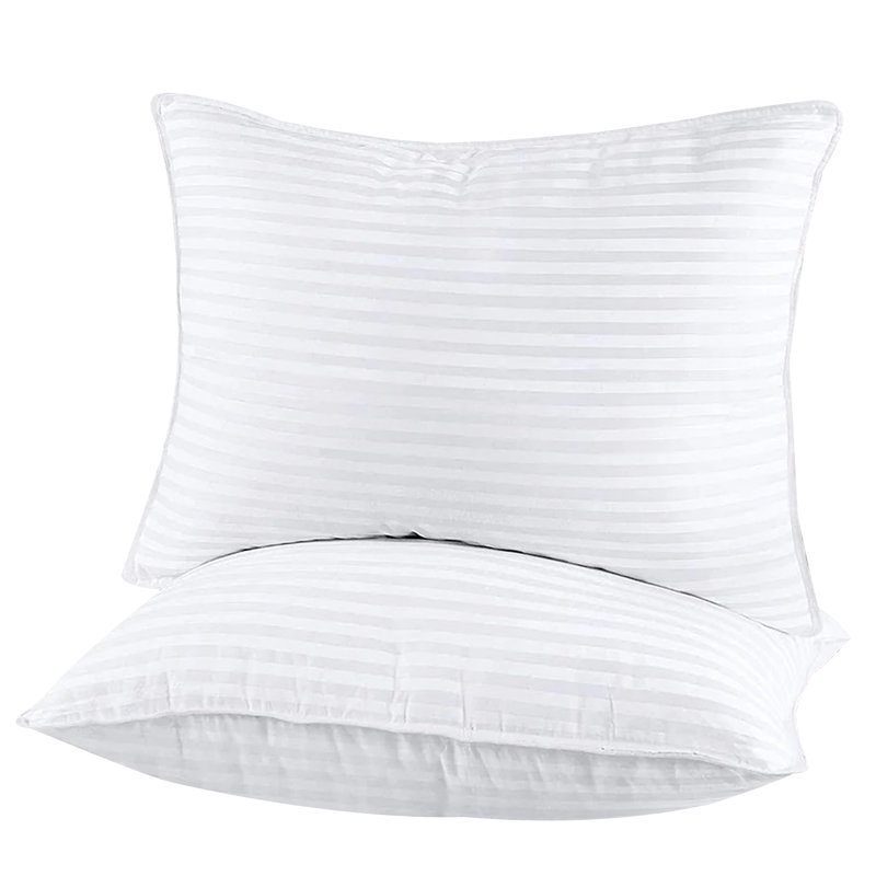 Ensemble de 2 coussins pour grand lit, bourre de duvet synthétique, housse 100% coton, coussins de lit doux et de soutien