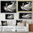 " Black And White Elegy Of A Swan "-97089474-134348207