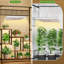 Brayden Studio Grow Light