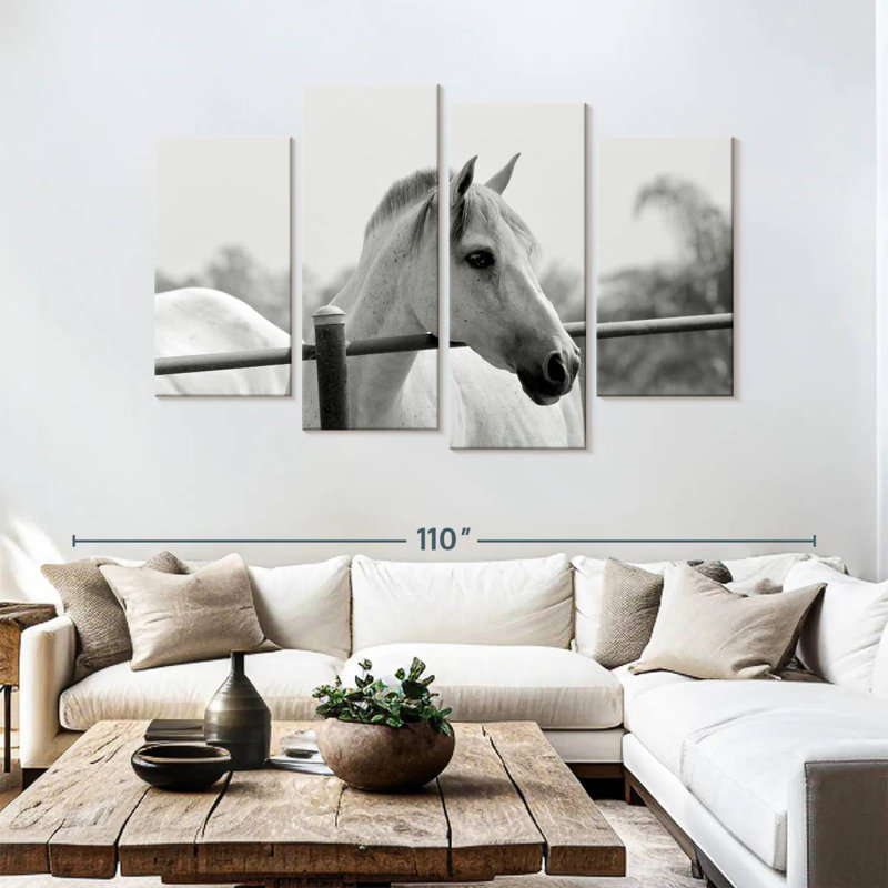 Cheval Brampt au-dessus d'une clôture en noir et blanc, H 54 po x l 84 po