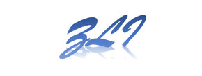 Logo ZLI