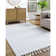 Bhaktivinod Hand Woven Area Rug