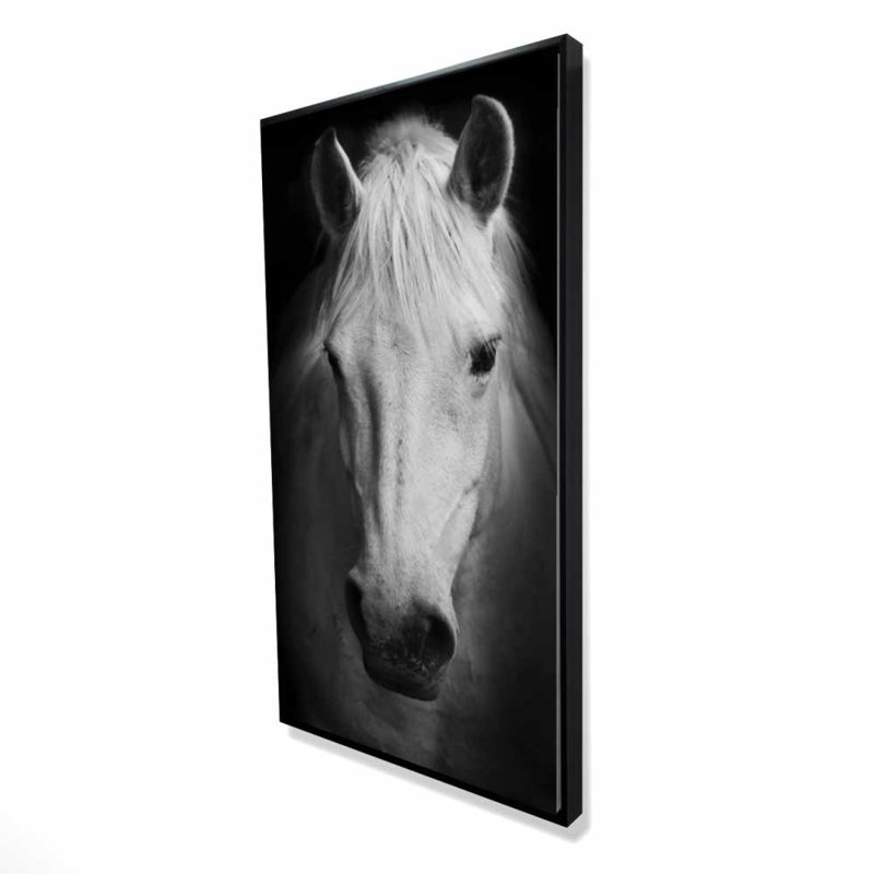 Monochrome Horse - Rustic Black Framed Canvas Home Decor