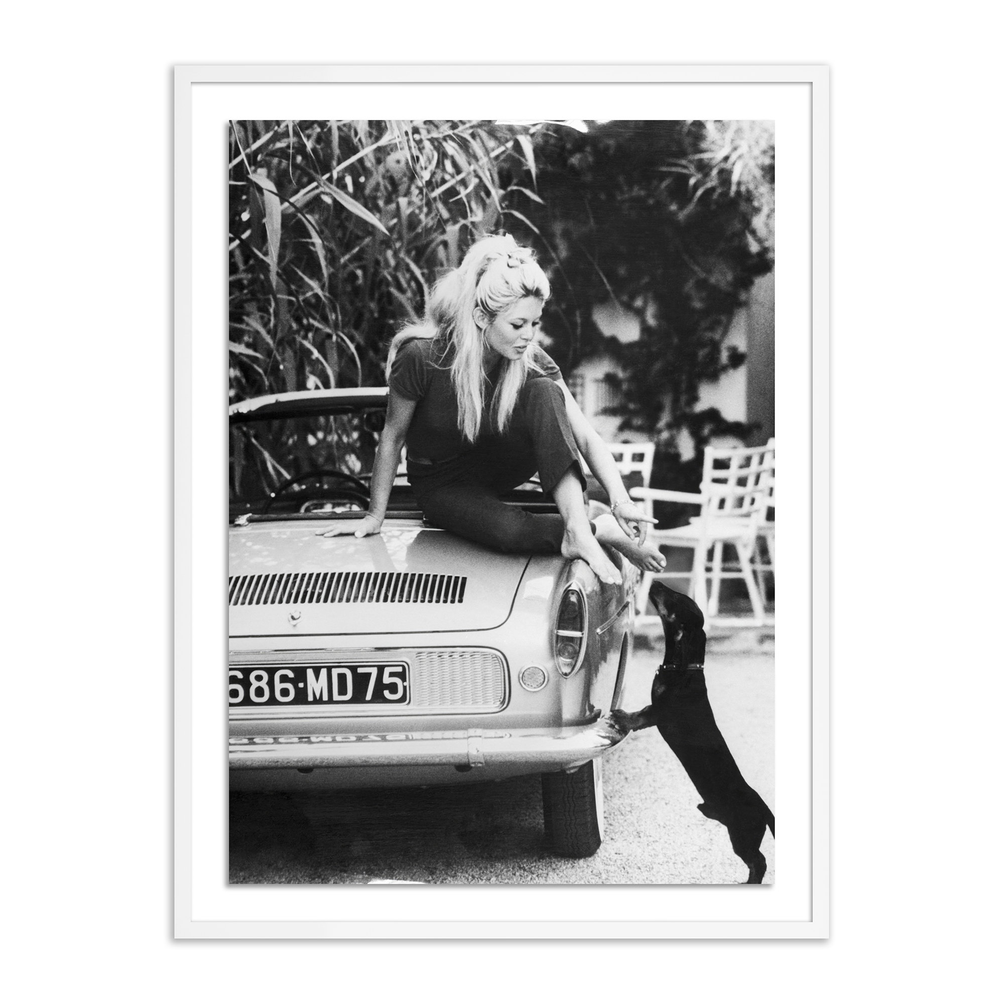 Ebern Designs Brigitte Bardot & Pup Framed On Paper by Getty