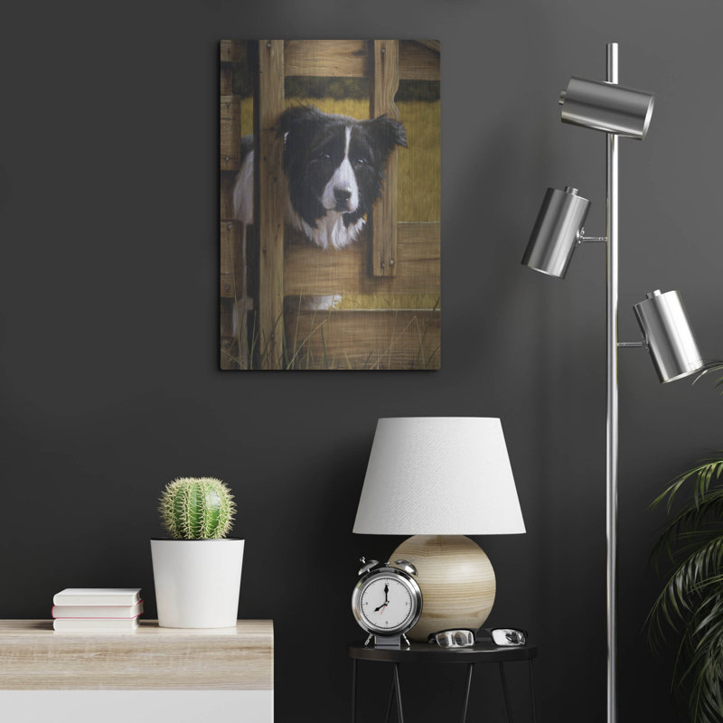 " Border Collie Exploring " by John Silver