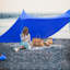 Tent-50253058