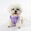 Harnais pour animal de compagnie Arlo-112400964