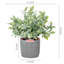 2 - Piece Artificial Plant Set