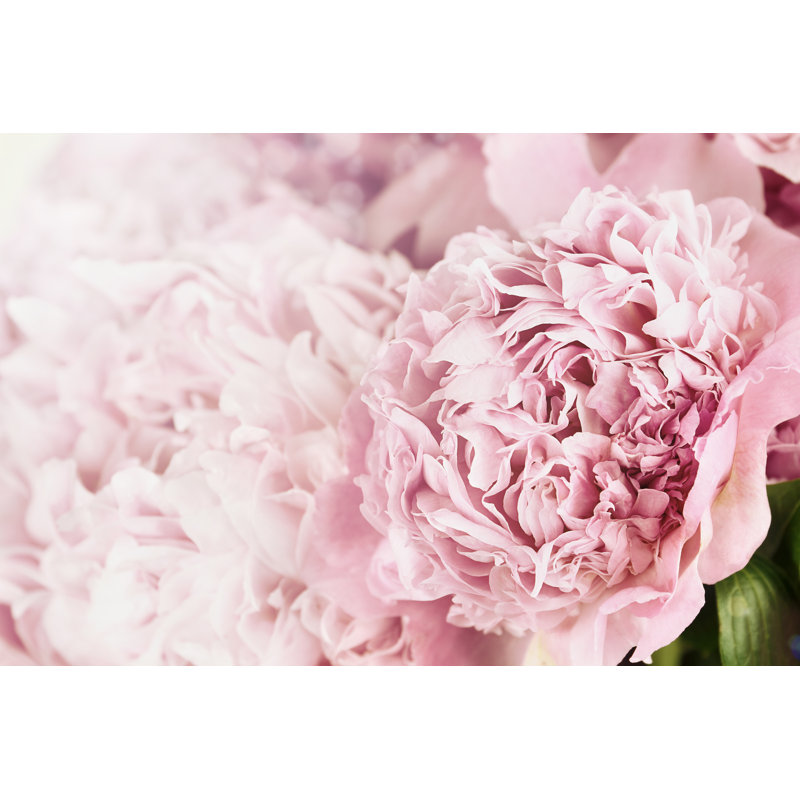Delco Peonies And Sunlight - Wrapped Canvas Print, 30cm H x 46cm W x 3.8cm D