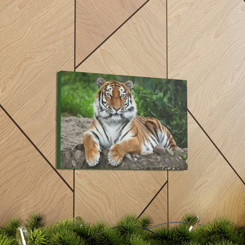 Art de tigre sibérien majestueux, H 12 po x l 18 po