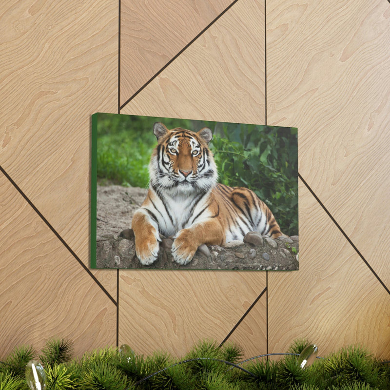 Art de tigre sibérien majestueux