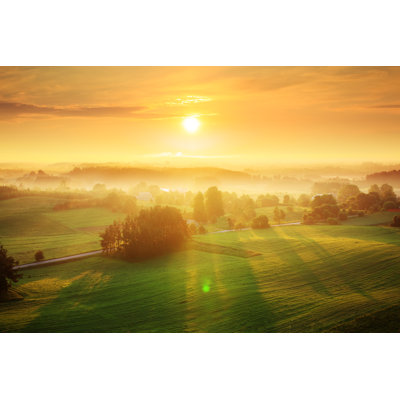 Foggy Sunrise - Wrapped Canvas Print