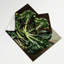 Tapisserie murale légumes broccoli rabe-133633400
