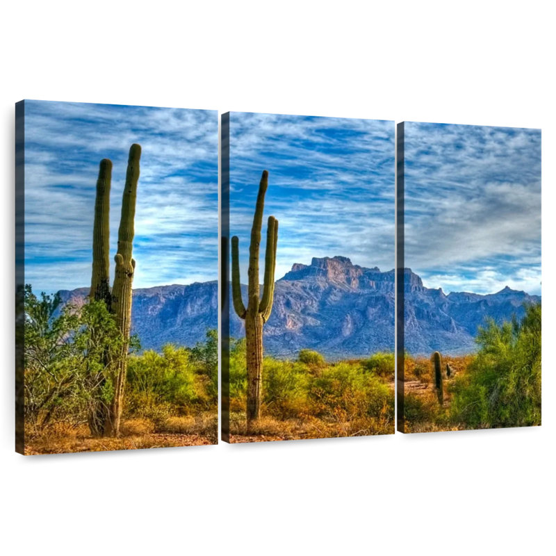 Cactus Harnek Saguaro géant, H 42 po x l 65 po