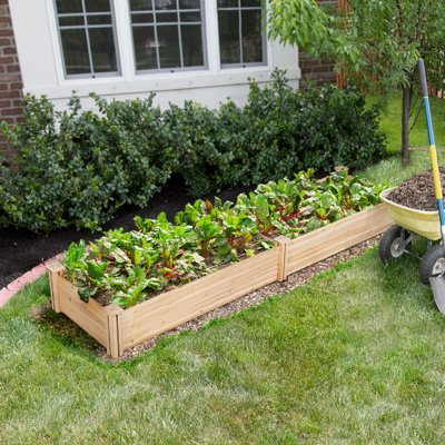 Cisbrough Multi-sized Outdoor Fir Wood Elevated Planter Box for Yard